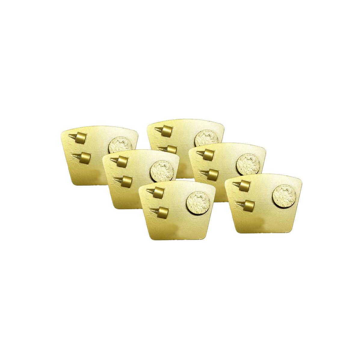 1 Satz (6Stk.) PKD + Rundsegment Schleifschuh - Gold -...