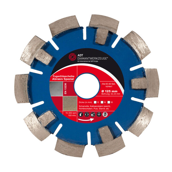 grinding wheel abrasive special Ø 125 mm / segment height 10 mm / segment strength 16 mm / bore size 22,23 mm