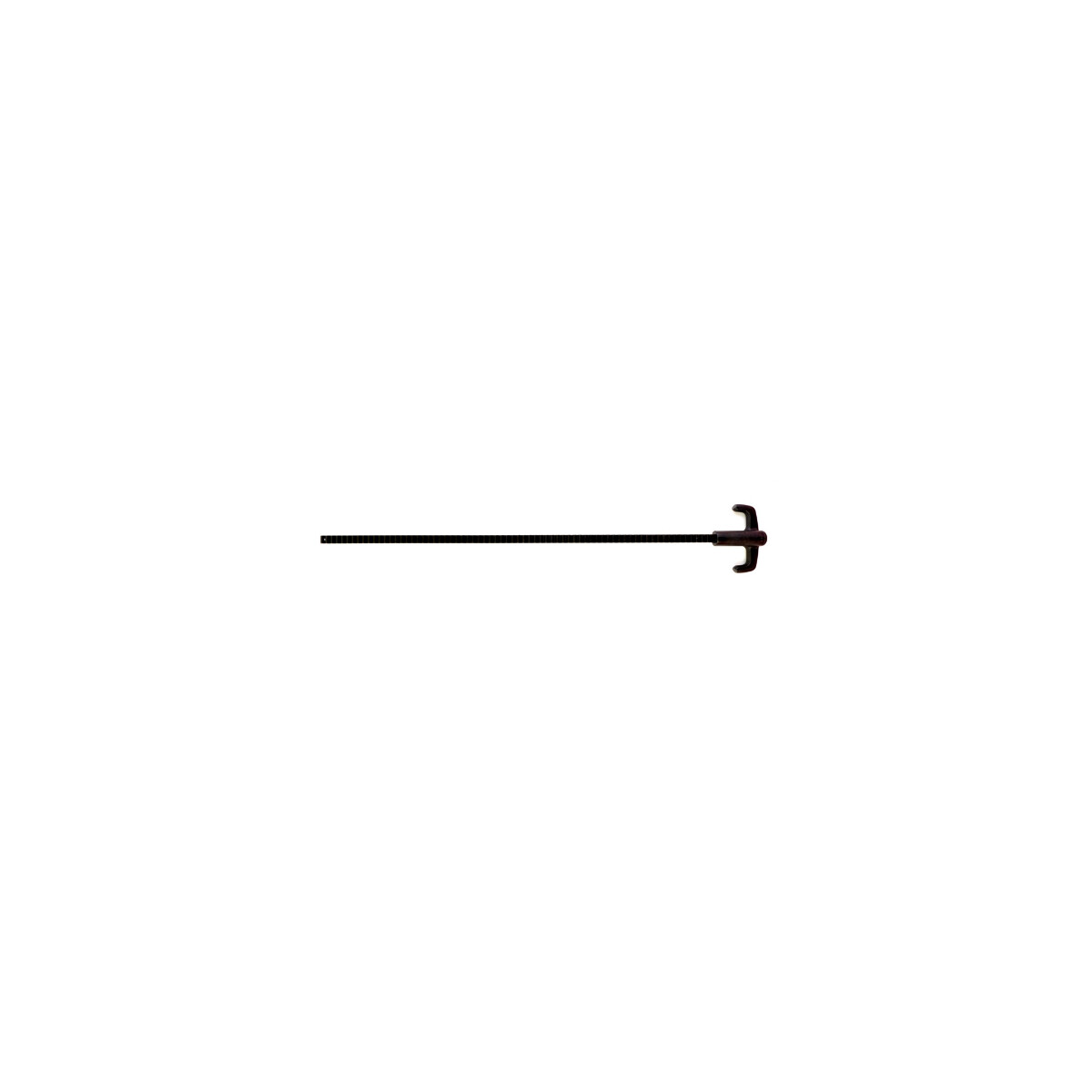 CGUN PLUNG ROD L P1M